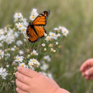 Meet your Posher, Kelli